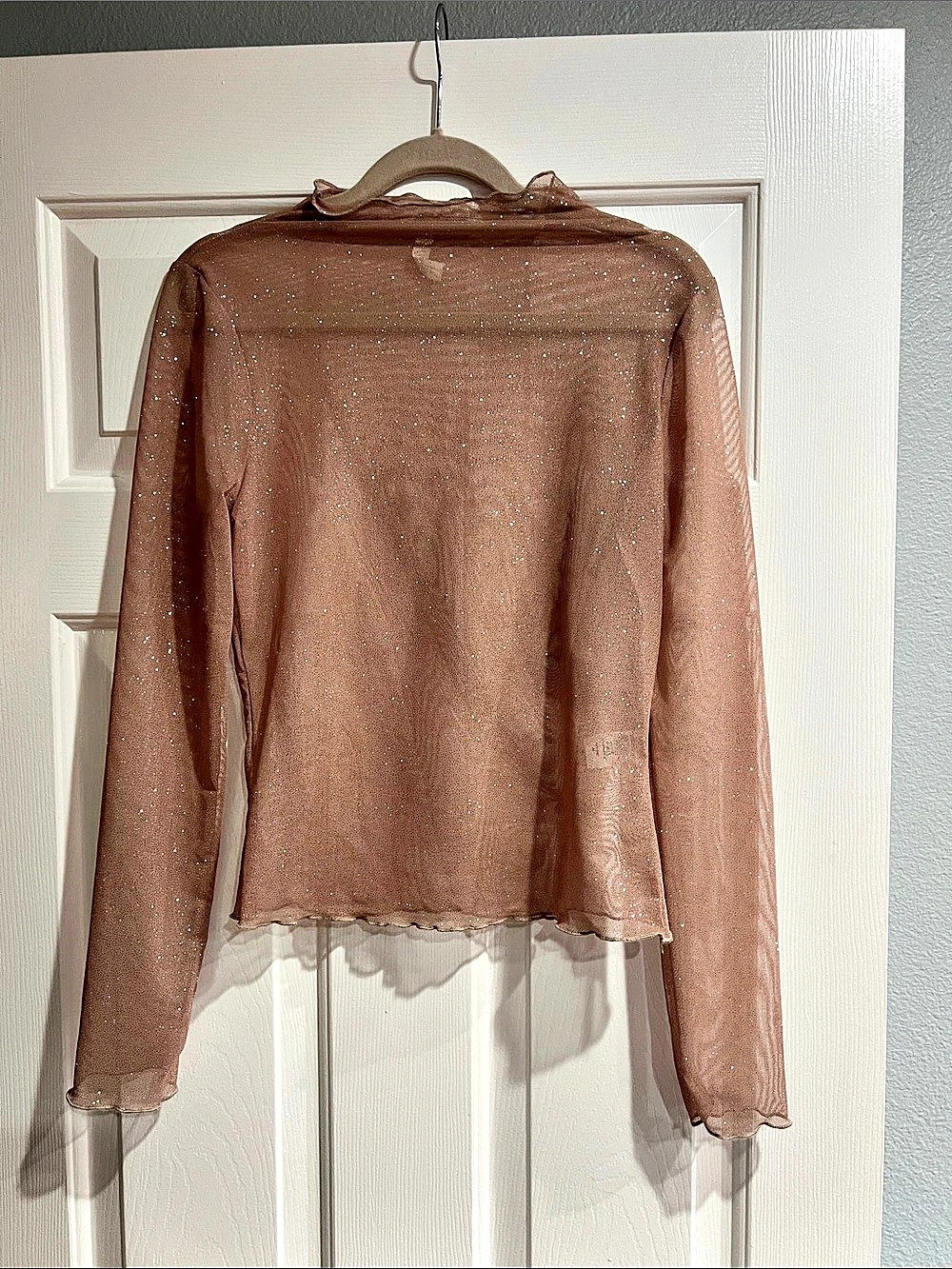 B·Bel Sheer Sparkle Long Sleeve Top in Brownish/ rose gold